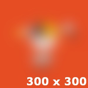 Copy of Nostrum exercitationem ullam