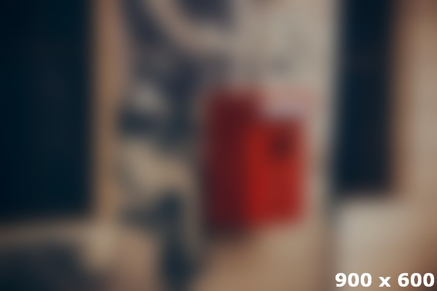 Our Business and Products ligula eget dolor