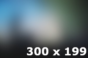 Copy of Aenean commodo ligula eget dolor  Aenean massa