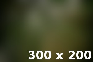 Top Tech Trends From Igula egetCES 2014