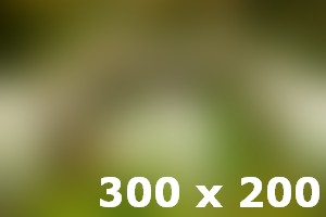 Gleams steal into the inner sanctuary