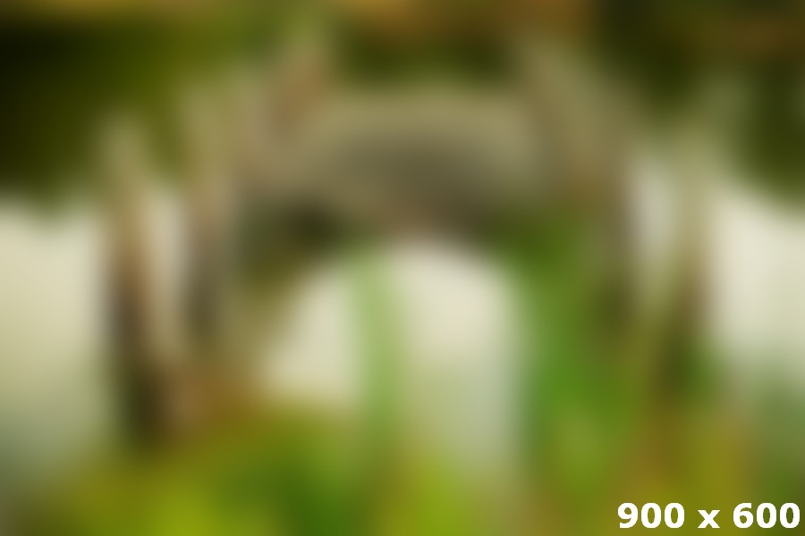 Gleams steal into the inner sanctuary