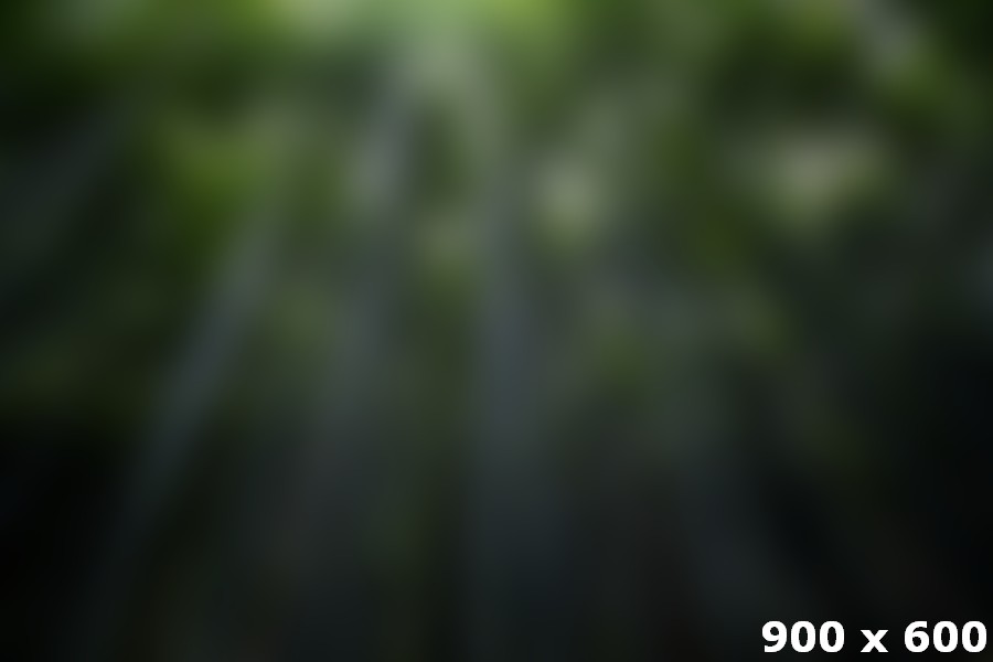 How to Create a Free Logo in a Pinch eleifend